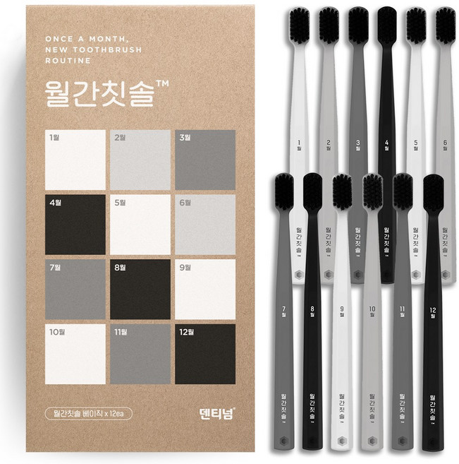 덴티넘 월간칫솔 베이직, 12개입, 1개
