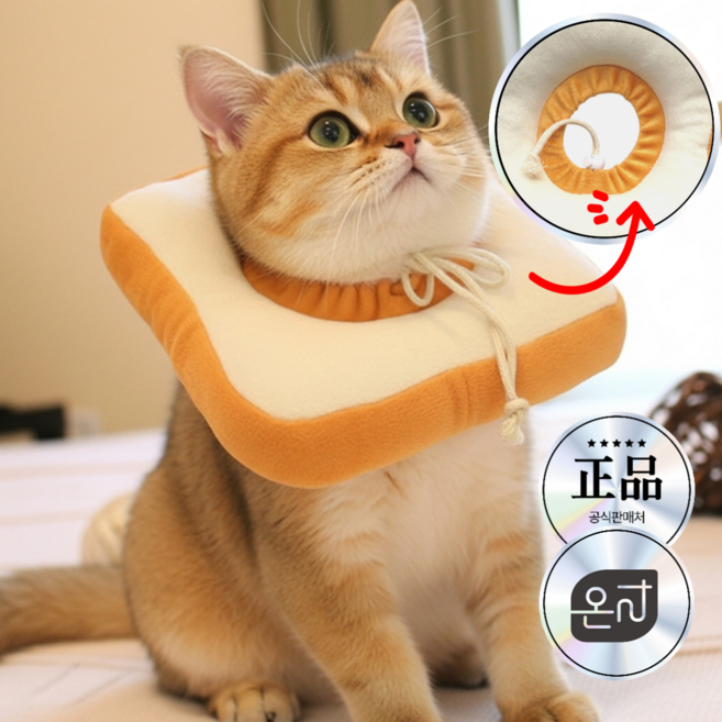 온리상점 반려동물 밴딩조절 넥카라 (중성화 긁음방지용), 1개, 토스트