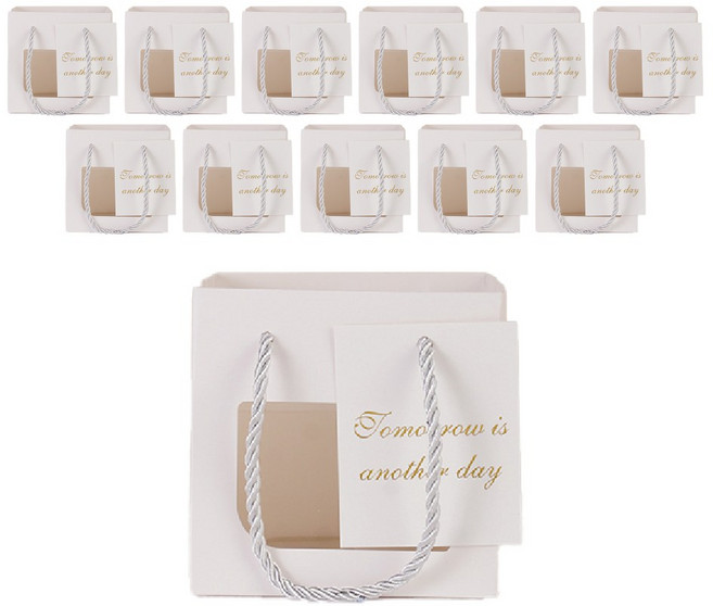 빛공 바닥넓은 정사각 투명창 윈도우 쇼핑백, 12개, 화이트