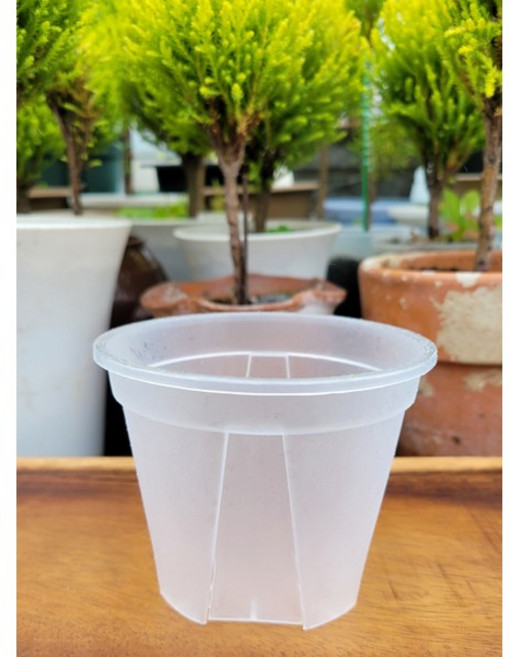 (10개 1SET) 투명 원형 슬릿 화분 플라스틱 슬릿 화분 원형 투명 슬릿분 3가지 사이즈