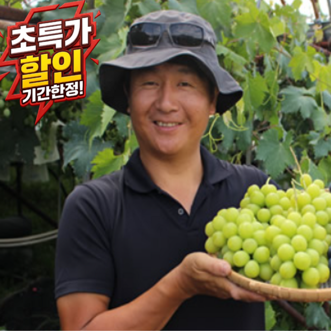 [누적판매1위] 명품인증 수분팡팡 김부장님 샤인머스켓, 1박스, 500g