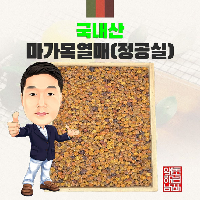 국산 마가목열매 정공실, 300g, 1개