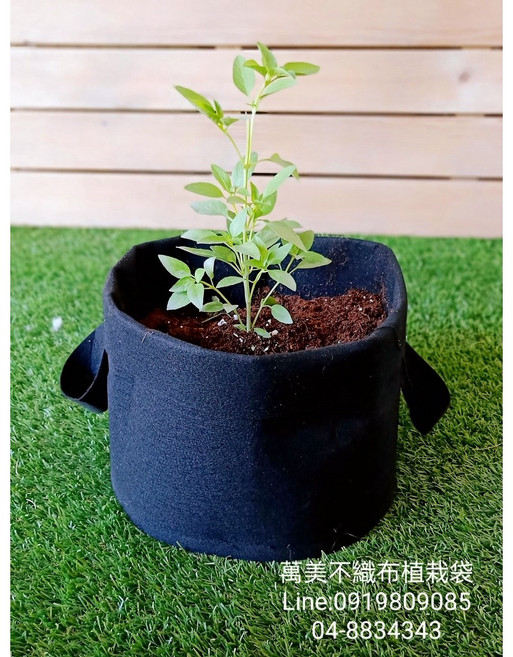萬美園藝資材 人工草皮 工廠直營品質保證, 1個