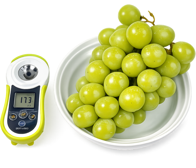 국내산 샤인머스캣 고당도 씨없는 청포도, 1박스, 1kg 2수
