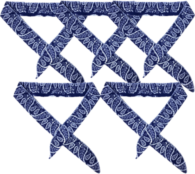 바이브라이프 쿨스카프 쿨링 아이스 스카프 5p 세트, 네이비블루