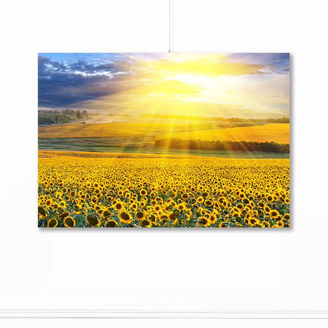 풍수아트 1.[I]가온 여명 해바라기 | 럭셔리대형100호 [162.2x112.1cm]