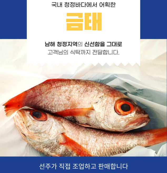 [산지직송] 청정 바다에서 어획한 금태, 1개, 300g-400g(1미)