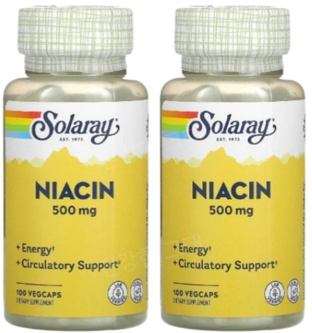 솔라레이 나이아신 니아신 500mg 100캡슐 2개 비타민B3 Niacin, 100정 - 쿠팡