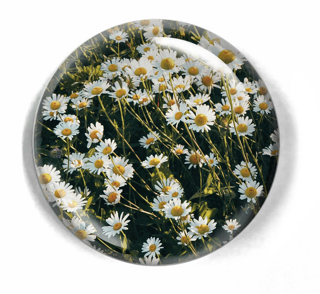 르웨이 크리스탈 유리 반구 사각 오브제 문진 15종, 데이지