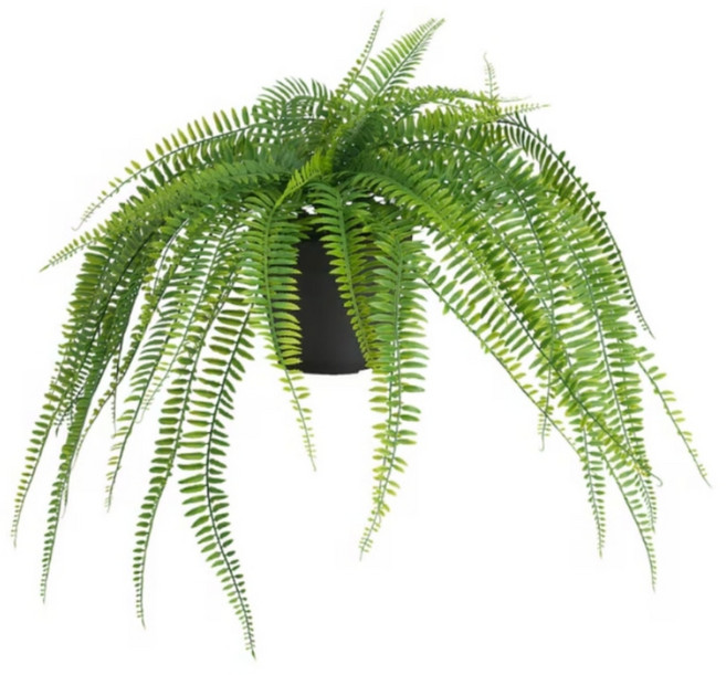 이케아 조화 인조식물 실내외겸용 걸이형 고사리 페이카