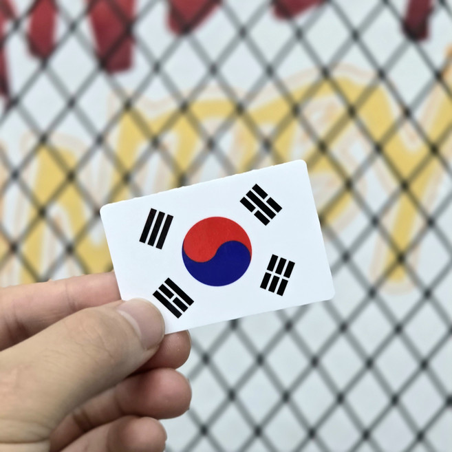 방수 태극기 스티커 2매 / 차량 캐리어 오토바이 부착용 / 일반 홀로그램, 2개, S 화이트 (6×4cm)