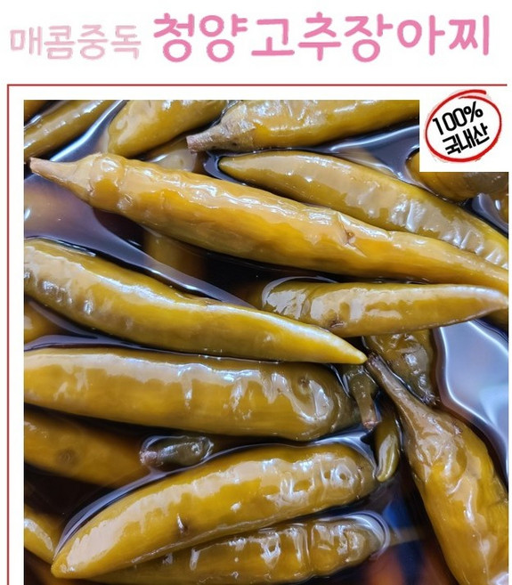 정지현식품 매콤중독 청양고추 장아찌 1KG, 1개