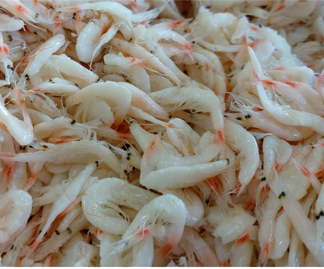 육젓 1키로 국산새우젓 조미료 0, 1개, 1kg