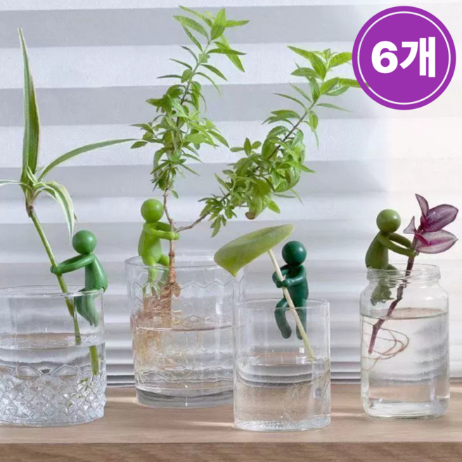 그린버디 수경식물 꽃 화초 몬스테라 식물 지지대, 6개