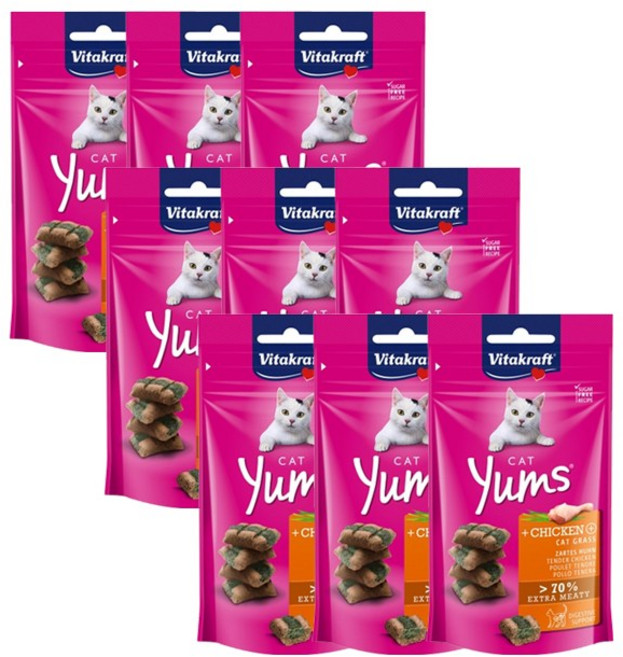 비타크래프트 캣얌 고양이 간식 치킨, 치킨 + 캣그라스 혼합맛, 40g, 9개
