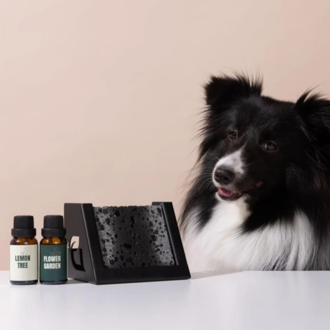 디퓨리 천연 실내 반려동물 스톤디퓨저 강아지 탈취제 고양이 화장실 냄새 제거 방향제, 1개, 15ml, 철제받침대+레몬트리(레몬밤) - 쿠팡