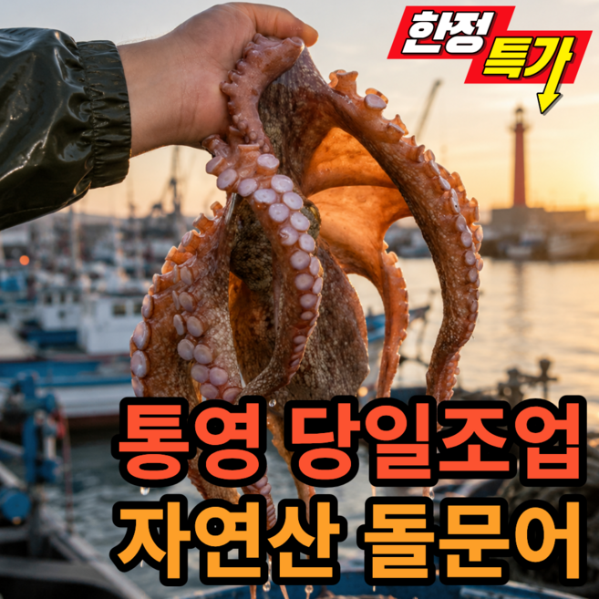 [통영직송] 당일조업 자연산 생물 돌문어, 1개, 1kg