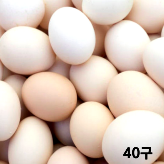 동물복지 난각번호 1번 계란 자연방사 유정란 백봉오골계 알 무항생제 자연 방목계란 토종닭 신선란 부화용 슈퍼 오골계란 달걀번호, 1개, 30구