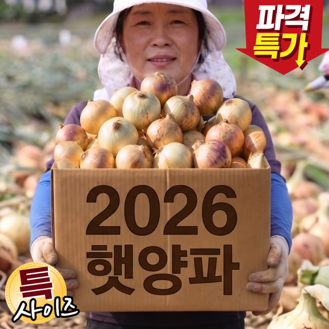 3위 - [제철초특가] 단단한 양파 상급 국내산, 1개, 5kg (특)