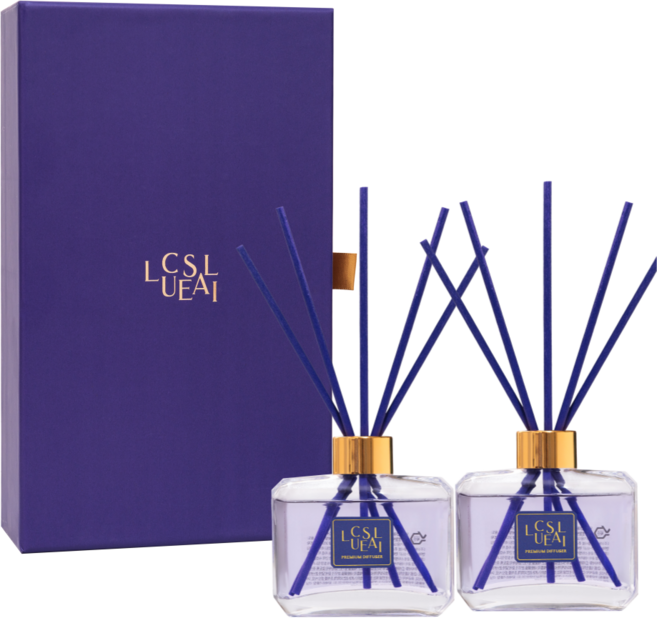 루체살리 프리미엄 시그니처 디퓨저 백화점 명품 선물세트, 2개, 100ml