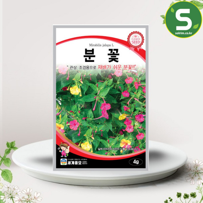 솔림텃밭몰 분꽃씨앗 4g 꽃씨앗 꽃씨 분꽃 관상 조경용, 1개
