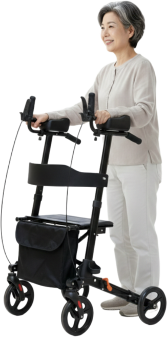 메머드텍 노인 보행기 접이식 보행 보조기 어르신 유럽형, 1개