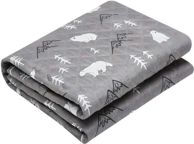 HanilMedical 탄소열선 고급 전기요 HL-SS205, 북극곰, 스몰 (67.5 x 180 cm)