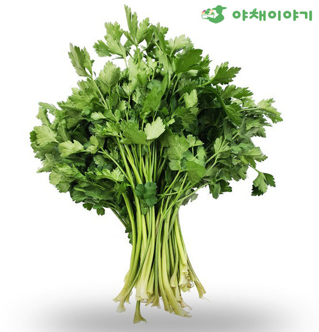 야채이야기 싱싱한 이태리 이탈리안 파슬리 1kg 향나물, 1개