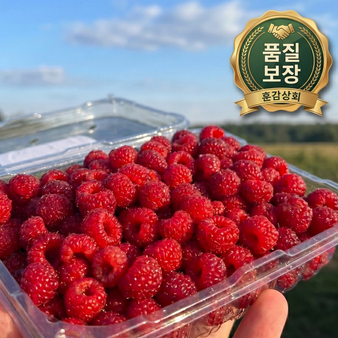 2026년 산딸기 산지직송 제철 생과, 3개, 250g x 1팩