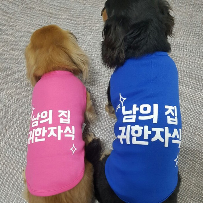 강아지옷 남의집귀한자식 여름옷 나시 데일리티셔츠 사노샵, 1개, 블루