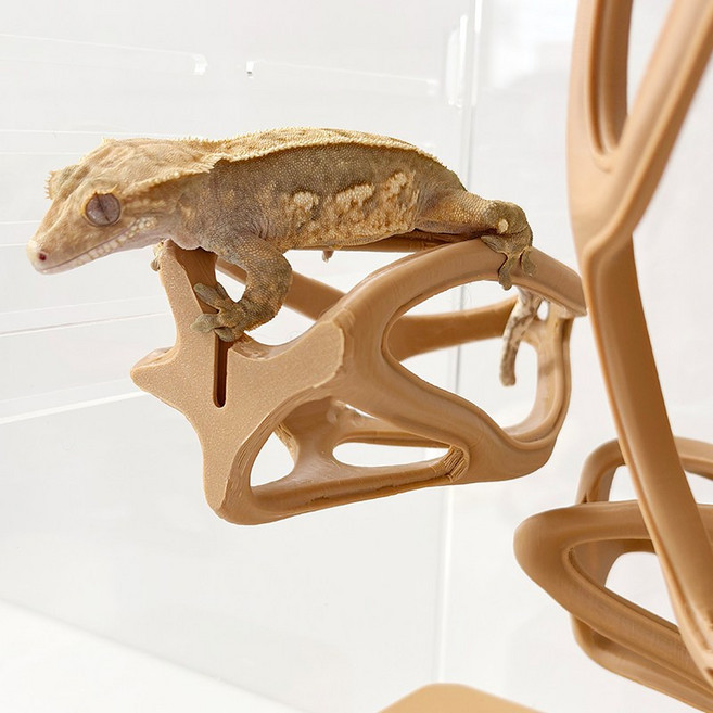 [햄달]도마뱀 정글짐 크레스티드게코 필라테스 크레백업 거치대, 2.카푸치노(브라운), 대, 1개