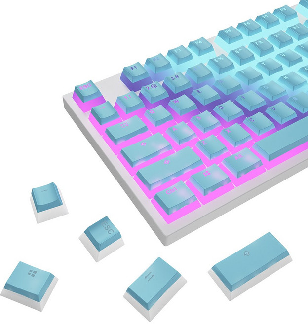 [LED투과 푸딩 키캡] PBT 119키 이중사출 OEM높이 풀세트 + 키캡리무버, BD119, 블루