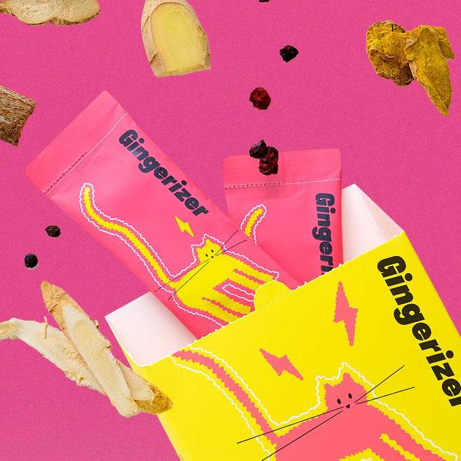 진저라이저 진저샷 생강 강황 레몬 사과 무설탕, 15개, 25g