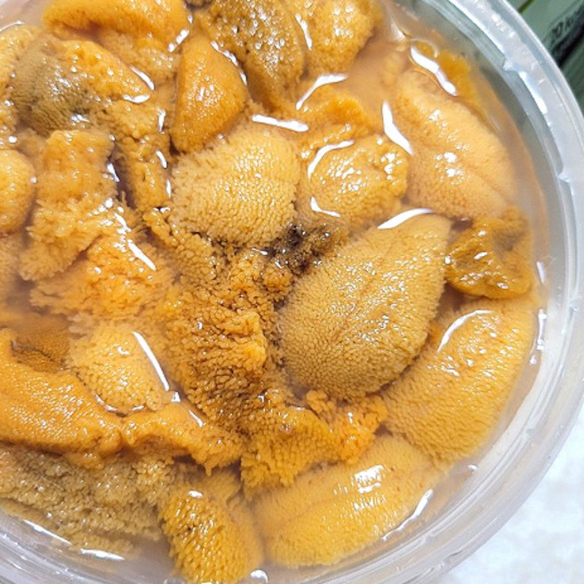 산지직송 포항 성게알 우니 보라성게, 100g, 1개
