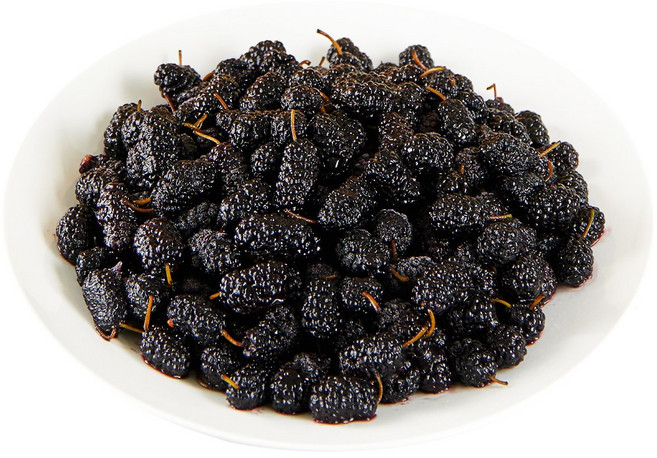 [산지직송] 국내산 햇 청일품종 오디(급냉), 10kg(특품), 1개