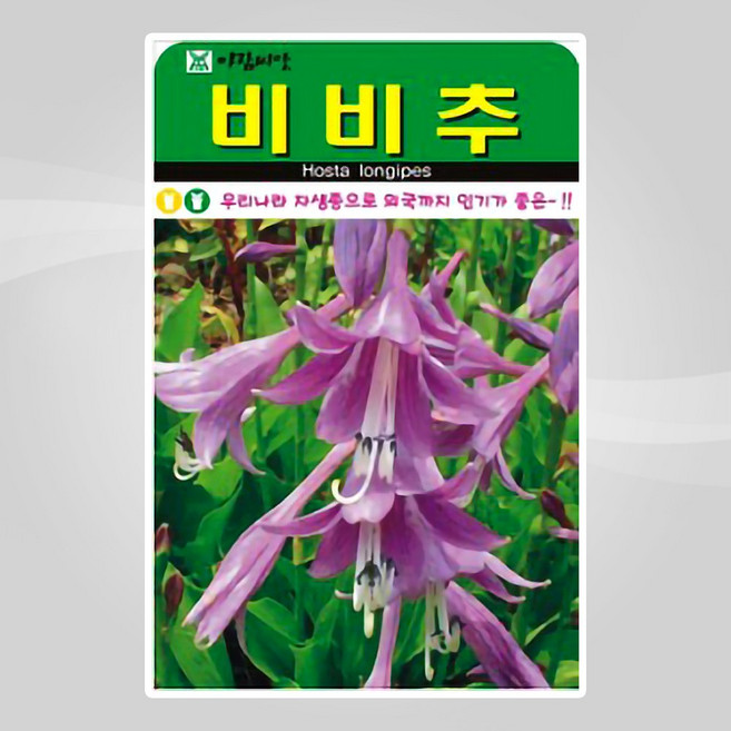 슬로시 야생화 꽃씨앗 비비추 20립, 1개