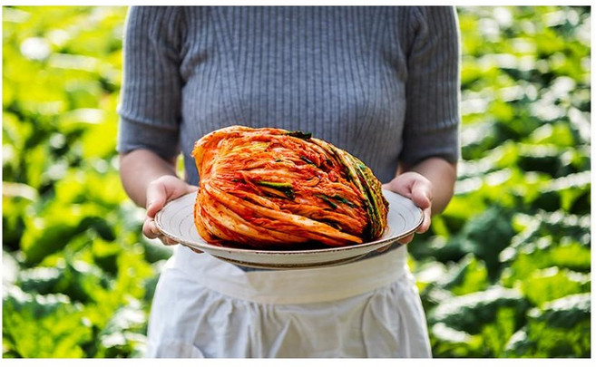 국산100% 나유선의 삼채 포기 배추 김치 2kg 3kg 5kg 전라도 여수 돌산, 1개