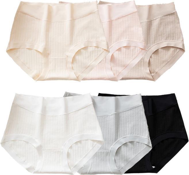 워너픽 하이웨스트 파스텔 면 팬티 6종