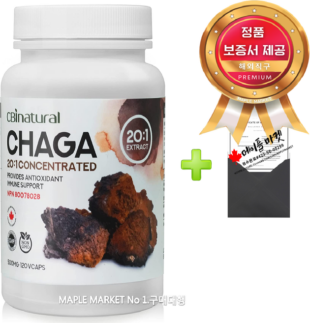 캐나다 차가버섯 20배 농축 500mg 120캡슐+정품보증서 CBI 네추럴 캐나다 직배송, 120캡슐, 1개, 120회분