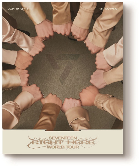 세븐틴 - SEVENTEEN WORLD TOUR [RIGHT HERE]