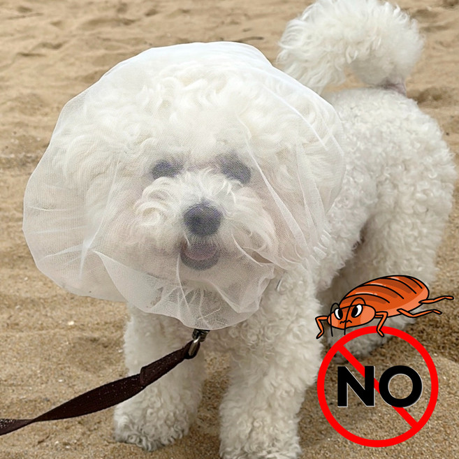 아딸링 강아지 멍마스크 해충방지 취식금지 얼굴망, 1개, 투명