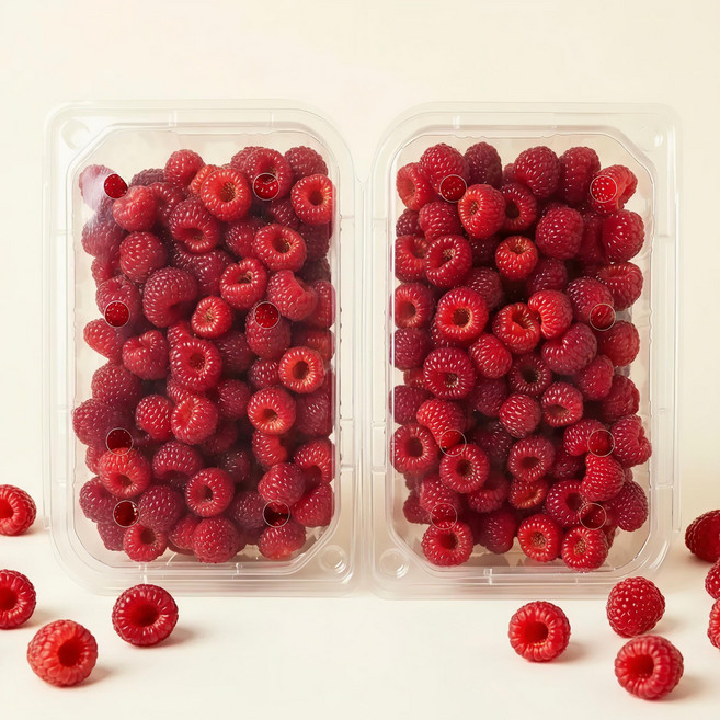 [당일수확] 김해 산딸기 생과 고당도 제철, 1세트, 500g (250g x 2팩)