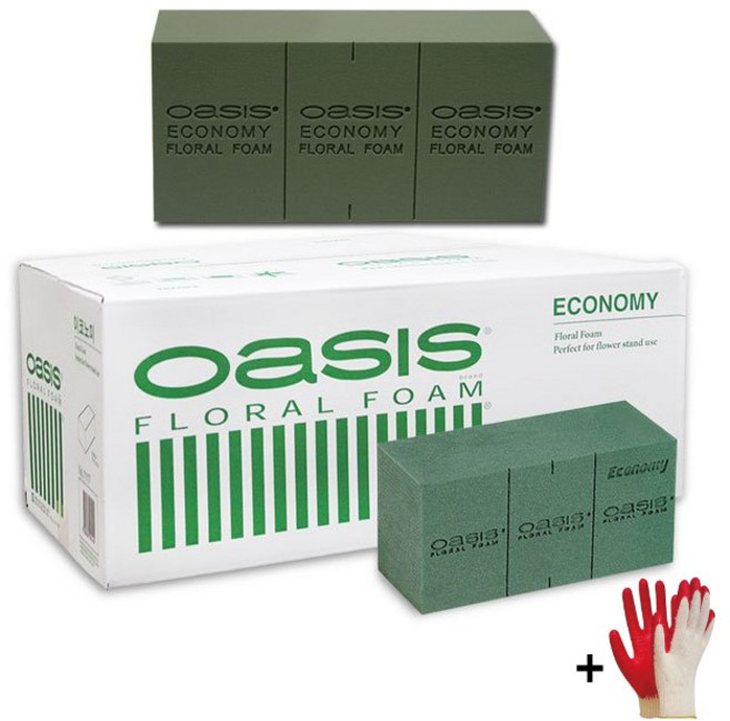 오아시스 플로랄폼 후로랄폼 이코노미 1박스 20개입 +자재스토어 작업장갑셋트 꽃꽃이 용품 재료, 1박스+작업장갑