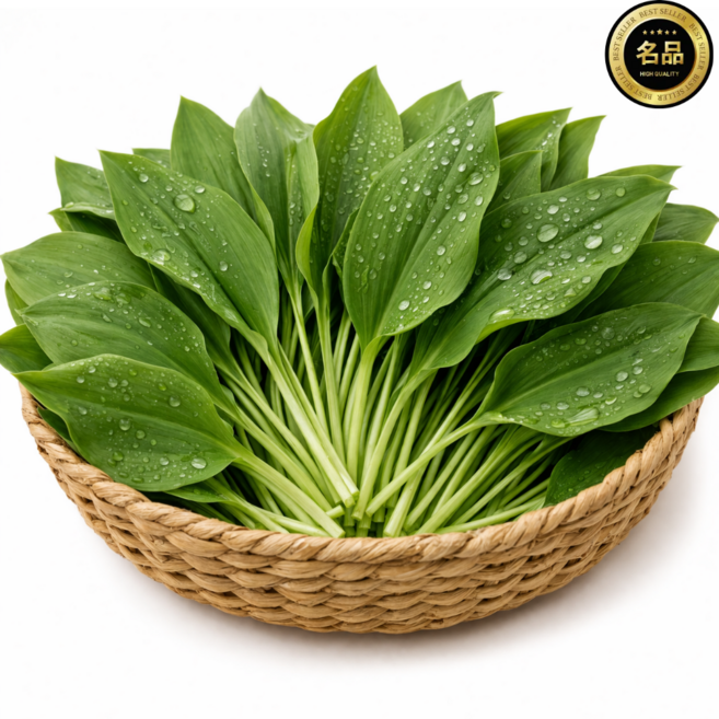 국산 산마늘 강원도 명이나물, 1개, 500g