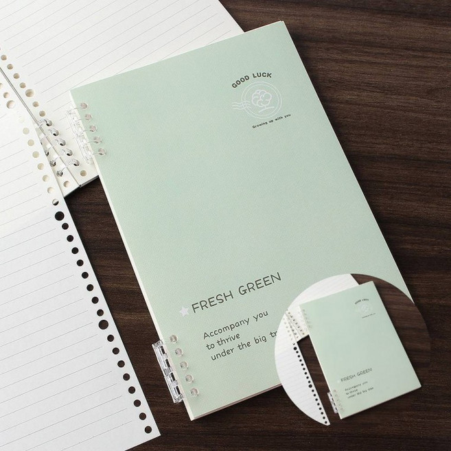 B5 루스리프 유선 노트 2p세트 60매 그린 수학노트 성경필사노트, 1개, 상세페이지 참조