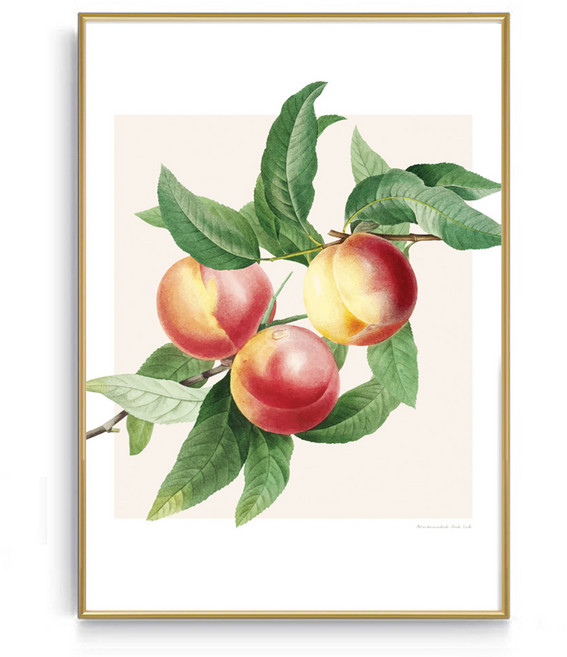 민트마켓 풍수인테리어 복숭아A액자, 골드