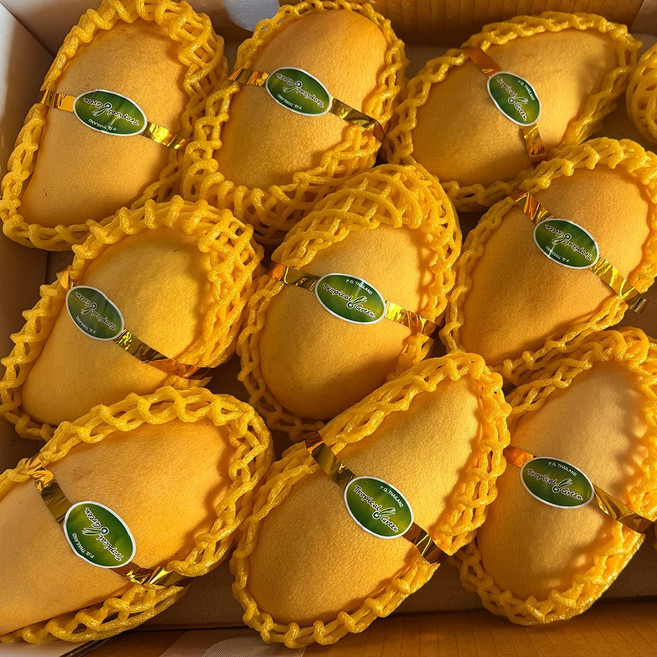 농부곳간 프리미엄 고당도 남독마이 태국 골드망고 특품, 1박스, 태국 골드망고 5kg 10-16과