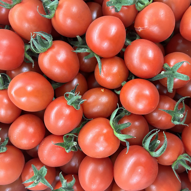 고당도 프리미엄 대추방울토마토 2kg 산지직송 신선방울토마토, 1박스