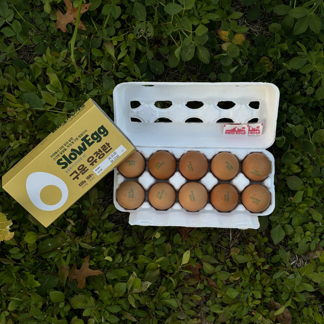 슬로우에그 난각번호 2번 구운란 20구, 2개, 10구