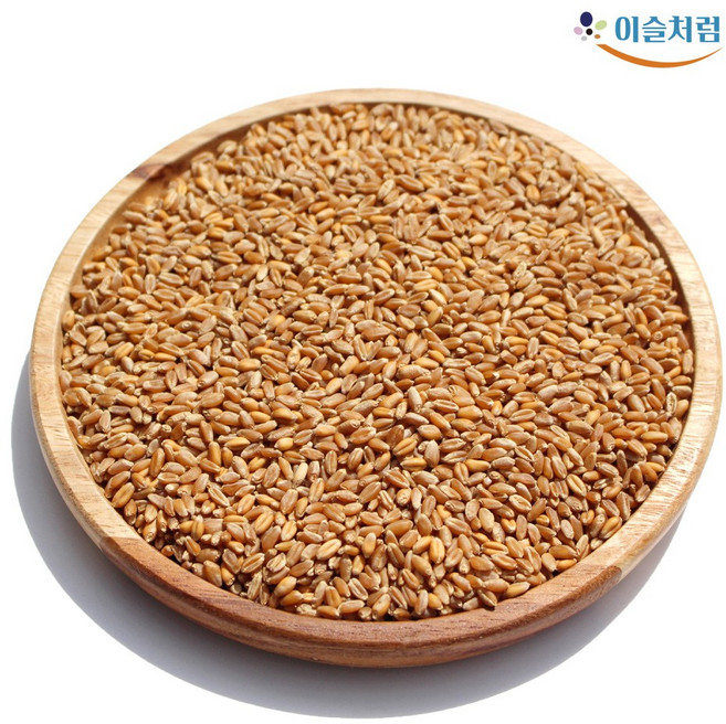 2025년 파로 5kg FARRO 엠머 밀 터키산 슈퍼푸드 고대 곡물 통곡물 고대원시곡물, 1개